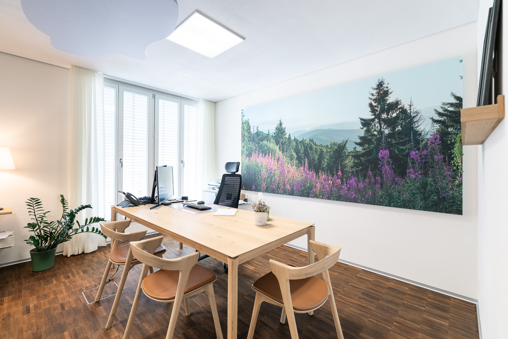 Rooms TumorZentrumAargau-7 Ärztezimmer Tumor Zentrum Aargau